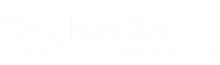 Berilo Lab
Advanced Math for AI